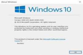 Windows 10 Pro x32 x64 Portugues BR - Original ISO