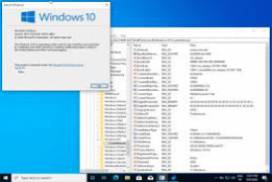 Windows 10 20H2 pt-BR Todas as Versões x64 Dez 2020