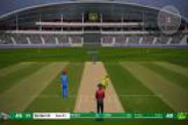 Cricket 19