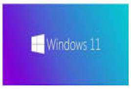 Windows 11 Pro 10.0.22000.51 for VMWare Workstation